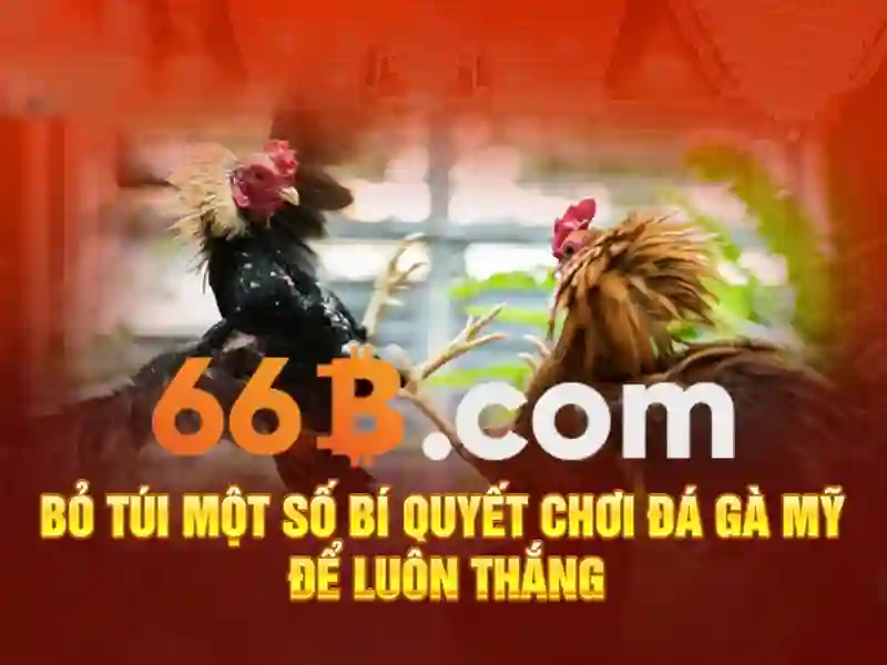 Giới thiệu 66b