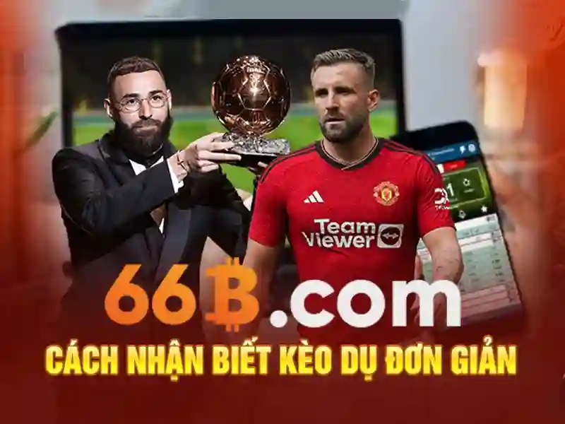 66B là gì?