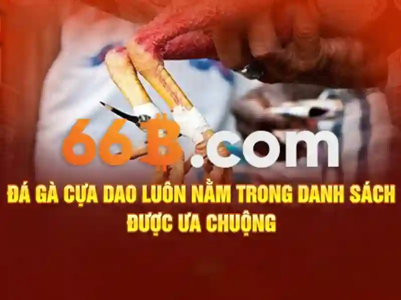 66b và những điều thú vị