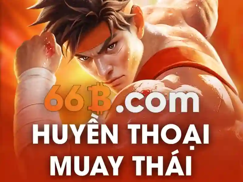 Giới thiệu về 66B