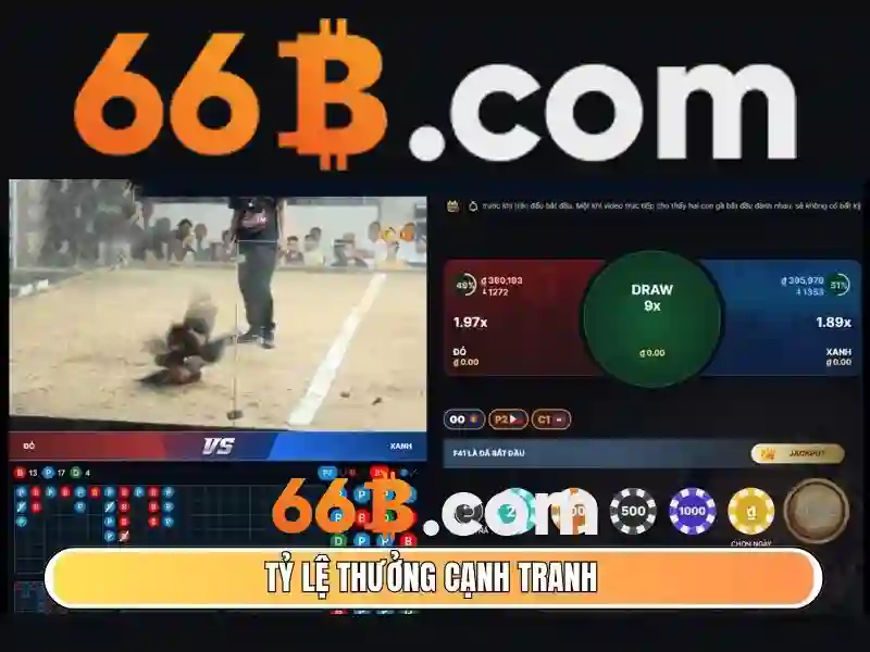 Giới thiệu về 66B