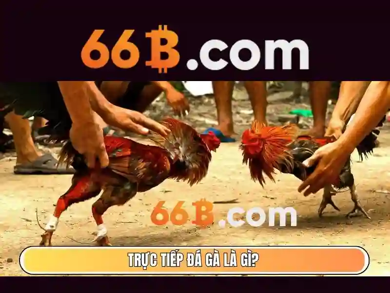 Kiểm tra quyền pháp lý và bảo mật