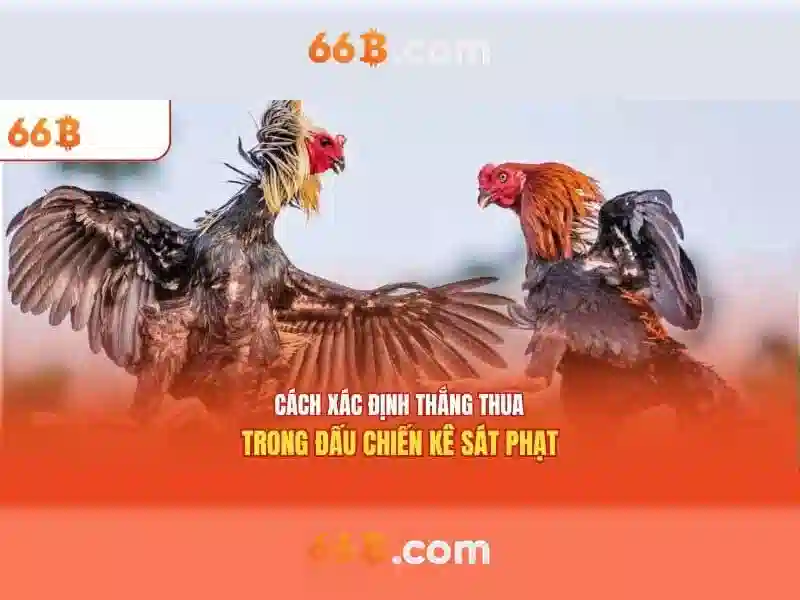 Kiến trúc và tham số