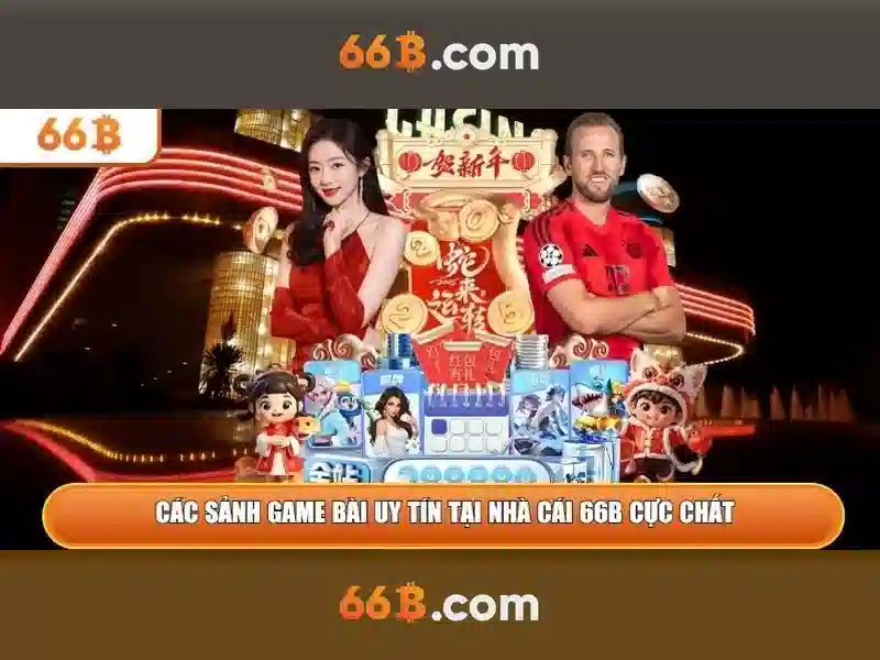 Khái niệm 66B