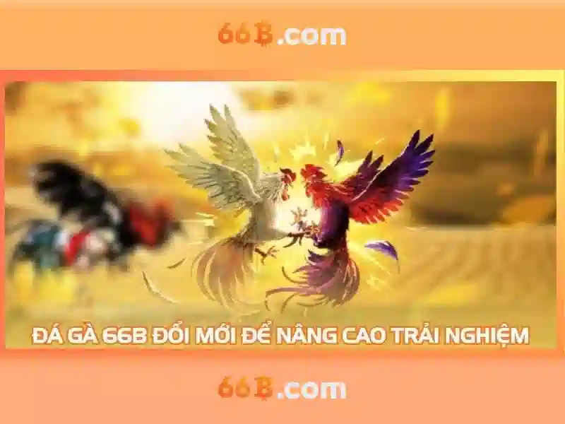 Khám phá 66b: một khái niệm và ứng dụng