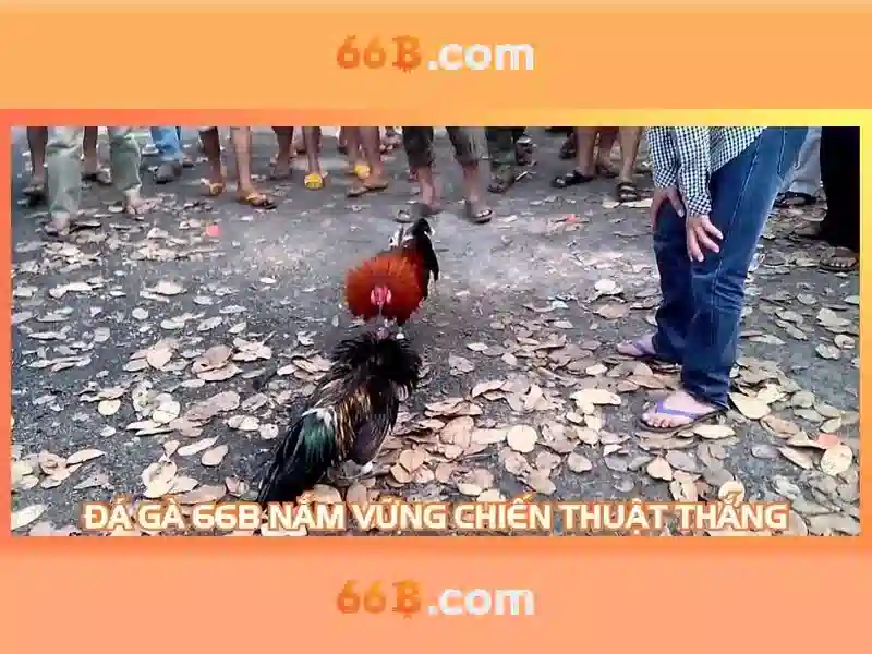 Khái niệm và chức năng của 66b