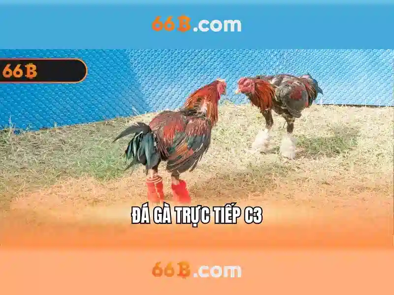 Kiến trúc và đặc điểm của 66B