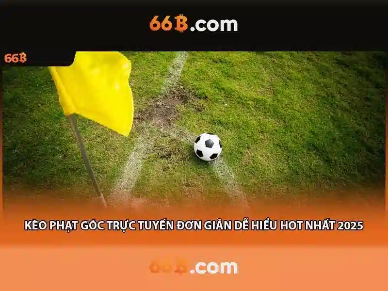 66b: một khái niệm về dữ liệu và ký hiệu