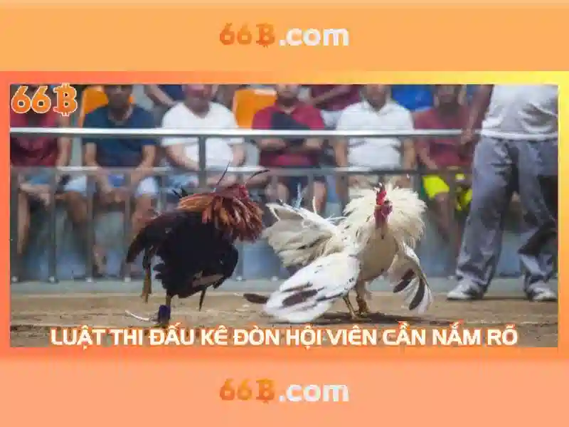 66b: tổng quan và ứng dụng