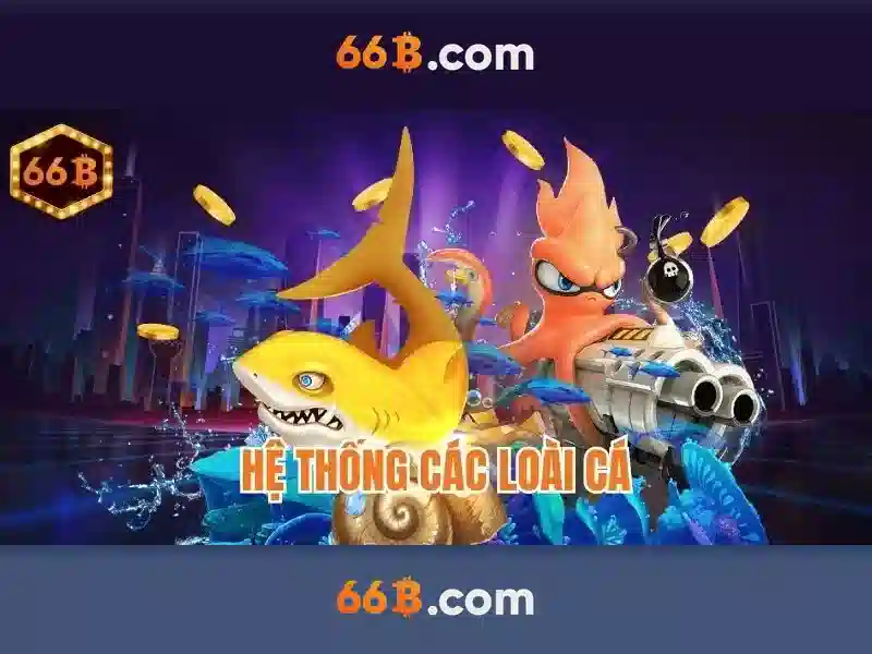 Tương lai của 66B và nghiên cứu tiếp theo