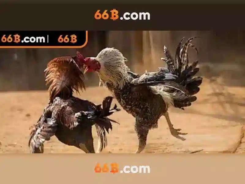 New-Player-Guide-66b