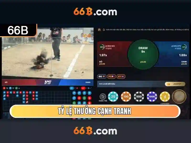 66B là gì? và tiềm năng của nó