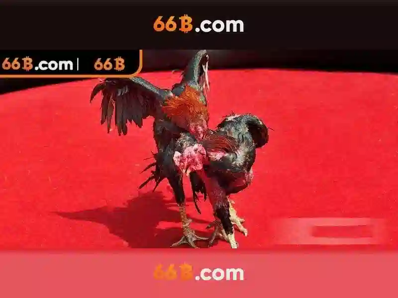 66B: Tổng quan bằng tiếng Việt