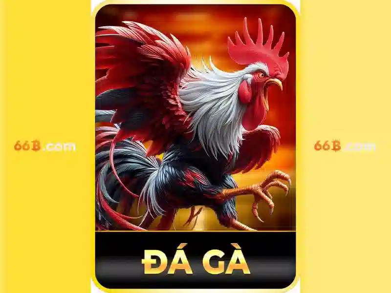 66b: một ký hiệu số và ý nghĩa của nó