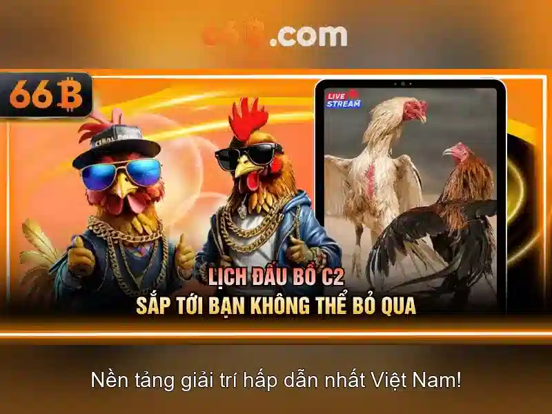 Giới thiệu về 66B