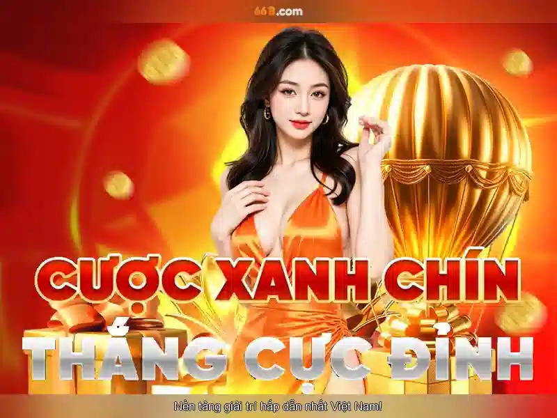 Mô hình 66B là gì?
