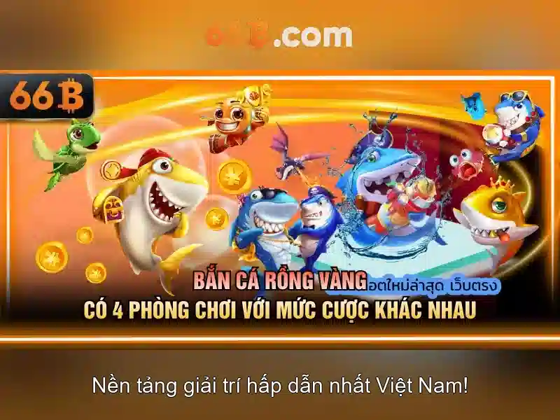 66b là gì?