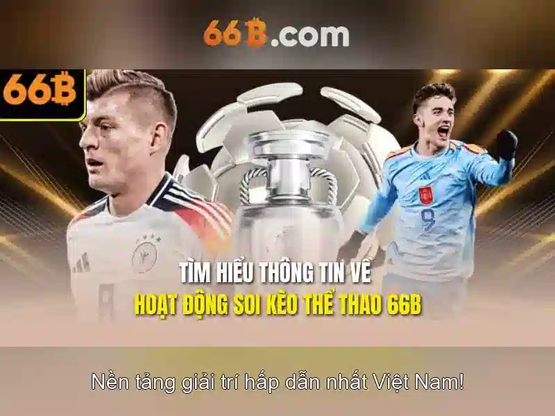 66b trong thiết kế và đời sống