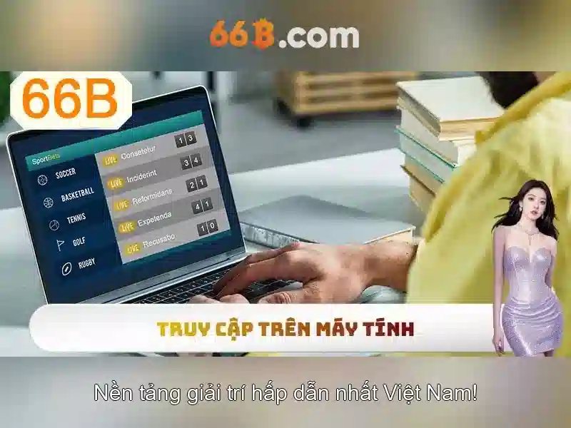Phân biệt 66B với các cỡ liên quan
