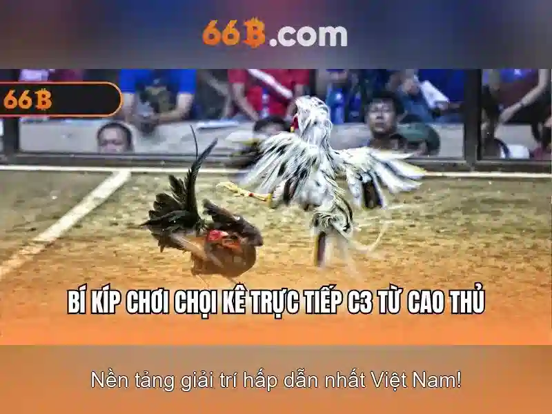66b và hành trình của một ký hiệu công nghệ