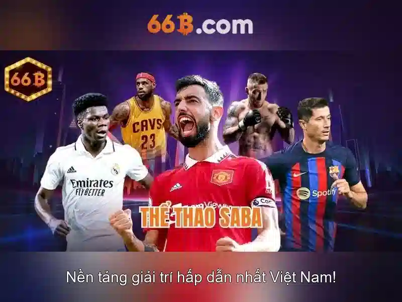 Tính năng nổi bật của 66b