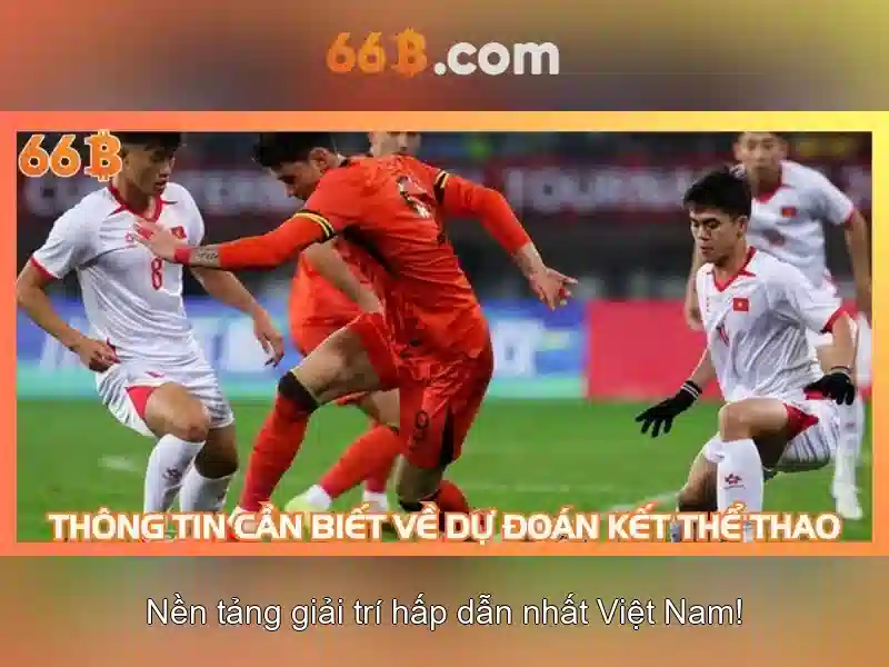 66B là gì và vì sao được quan tâm