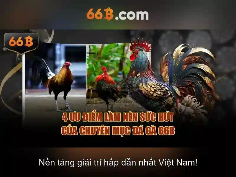 66B: Khái niệm về một mô hình ngôn ngữ 66 tỷ tham số
