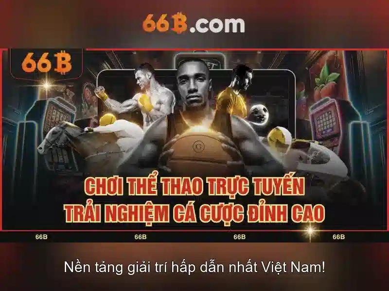 66b là gì