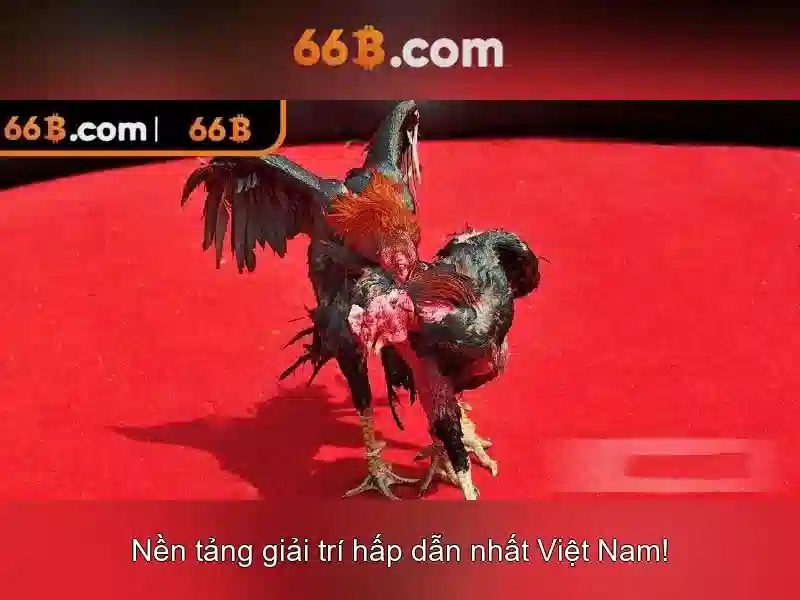 Ứng dụng và thách thức
