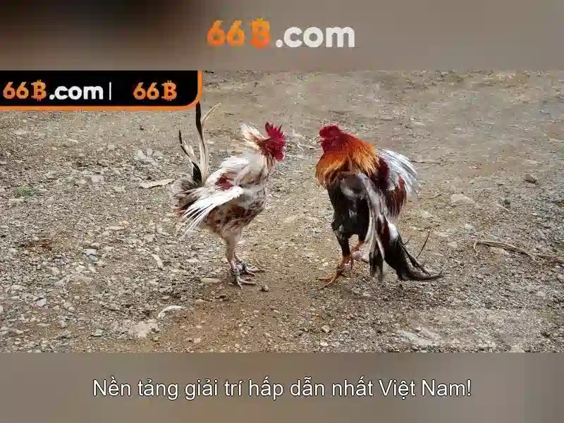 Nguồn gốc của 66b