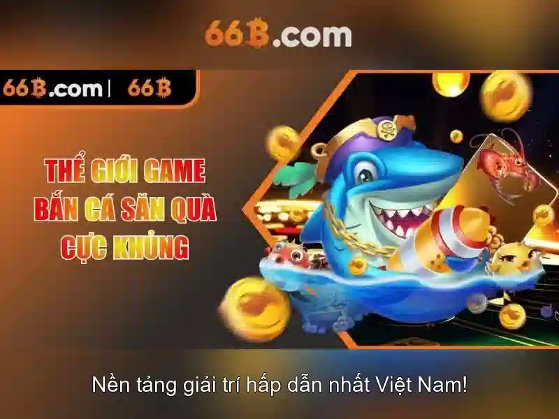 Kết luận về 66b và cách áp dụng