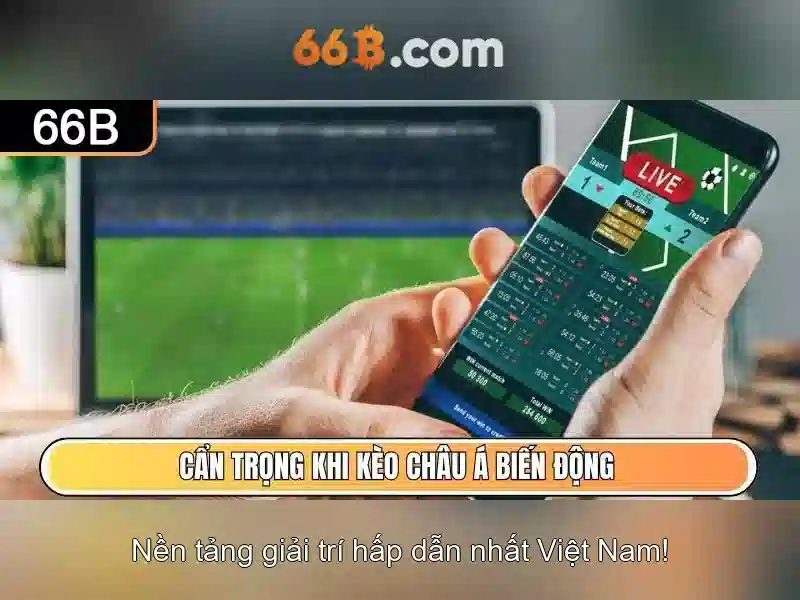 Kết luận về 66b