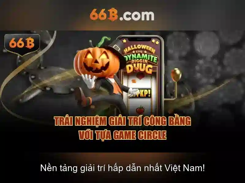 66b và những điều thú vị