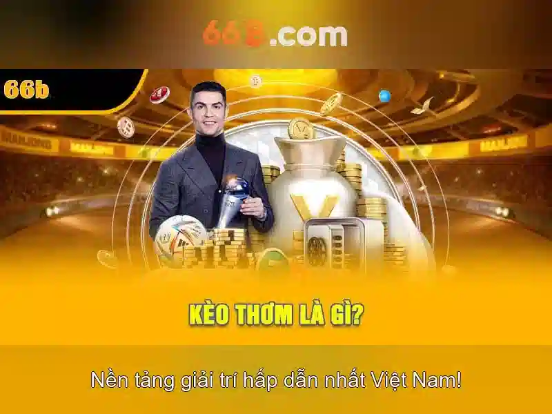 66B: một cái nhìn tổng quan