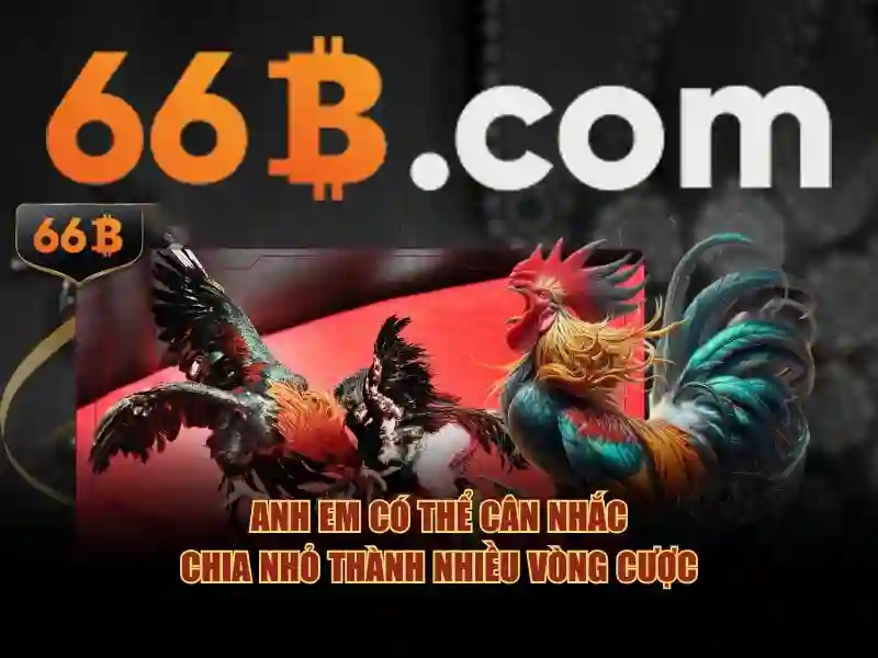 66B: Khai phá mô hình ngôn ngữ với 66 tỷ tham số