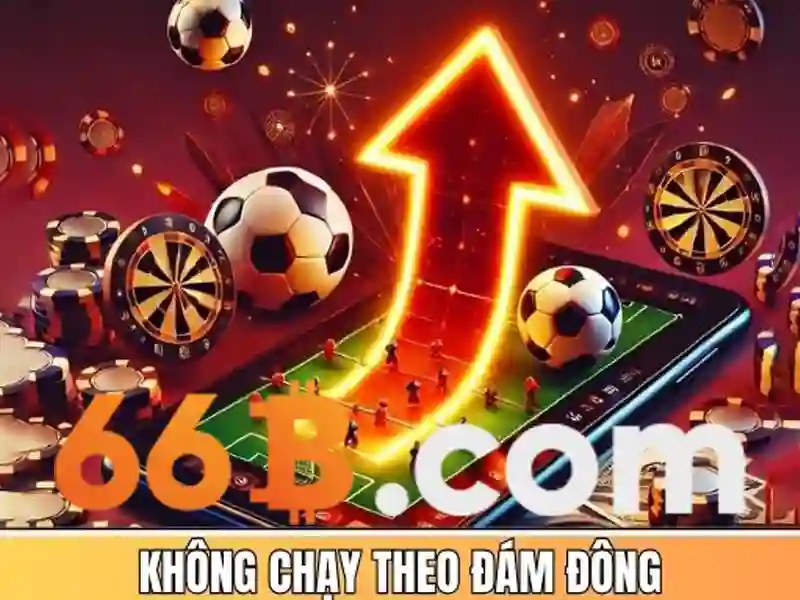 Khái niệm và kích thước 66B