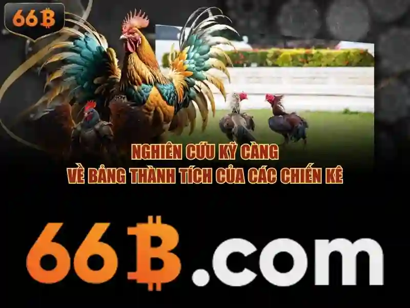 66b: khái niệm và ứng dụng trong dữ liệu số