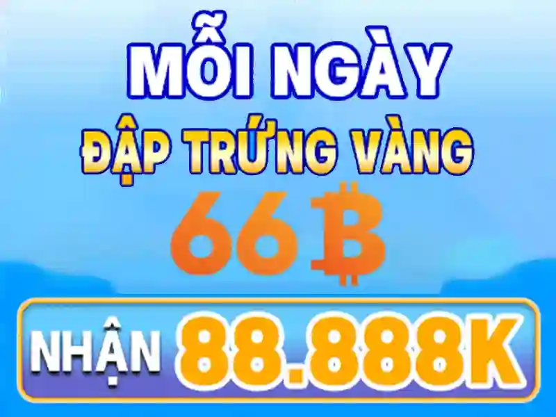 66B: Tổng quan bằng tiếng Việt