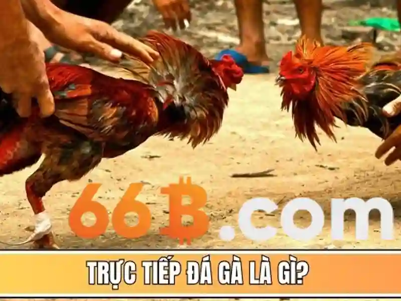 Biểu đồ rủi ro bảo mật tài khoản