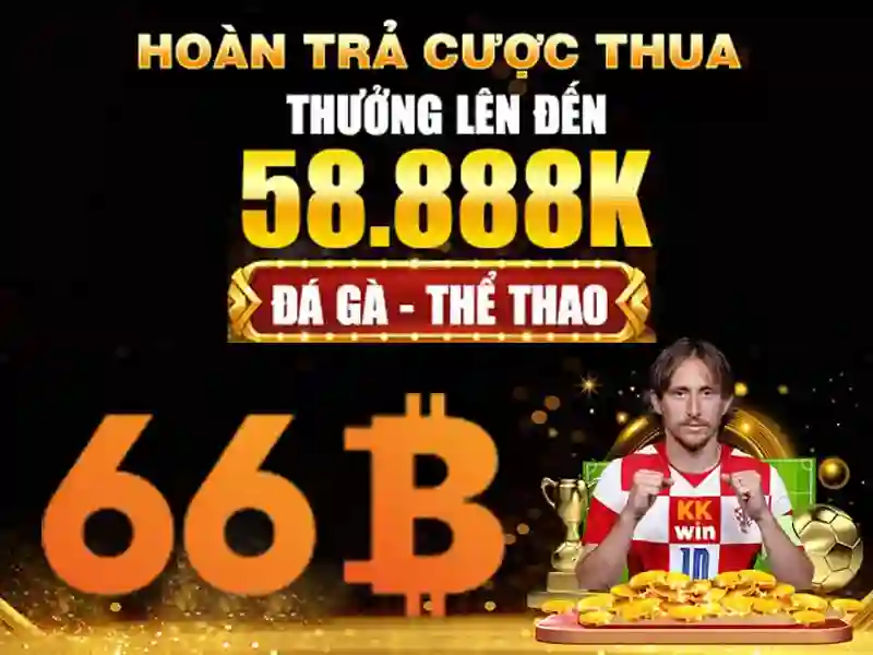 66b va y nghia tong quat