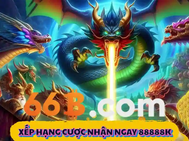 Trải nghiệm người dùng và dịch vụ