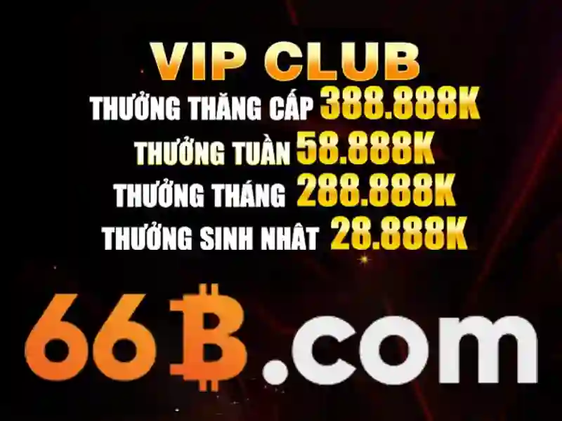 66B: một cái nhìn tổng quan